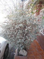 /album/luz-ambiente-5/a-media-tarde-jpg/